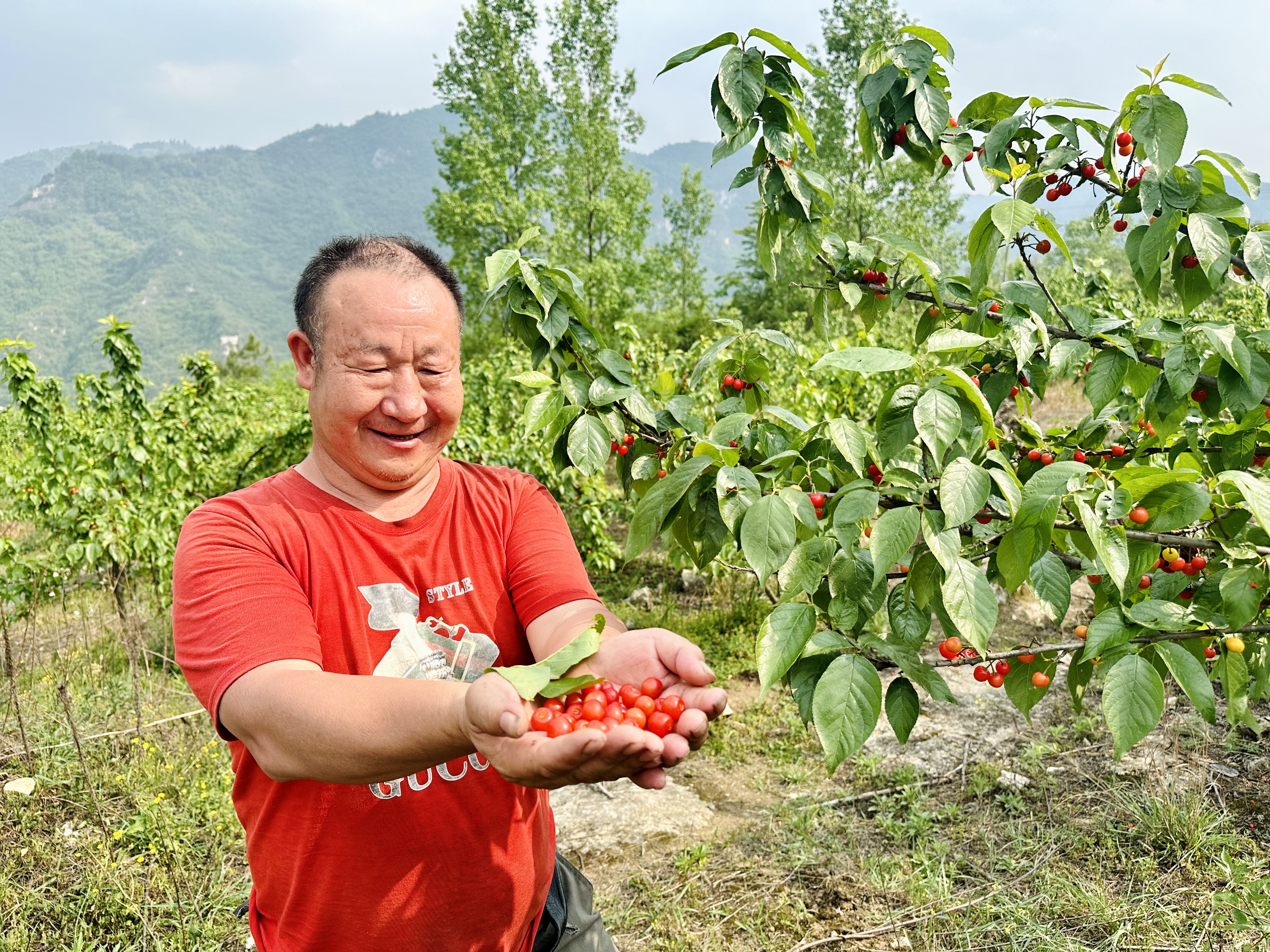 4.20 洒坪镇 生命于田地间闪光 平凡亦光荣1.jpg